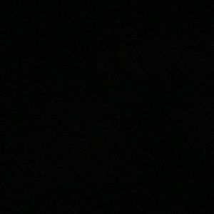 Meet your Posher, Carmilla